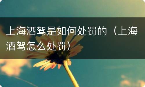 上海酒驾是如何处罚的（上海酒驾怎么处罚）