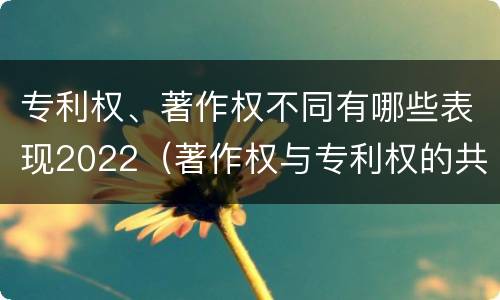 专利权、著作权不同有哪些表现2022（著作权与专利权的共性有）