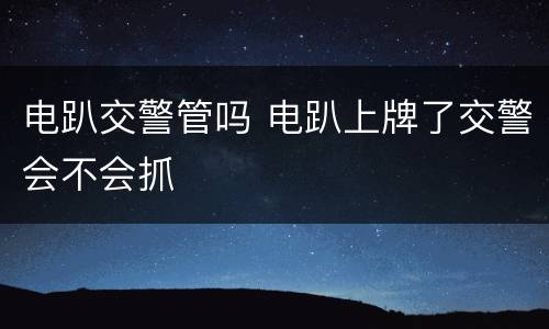 电趴交警管吗 电趴上牌了交警会不会抓