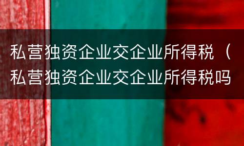 私营独资企业交企业所得税（私营独资企业交企业所得税吗）