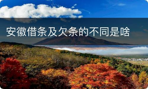 安徽借条及欠条的不同是啥