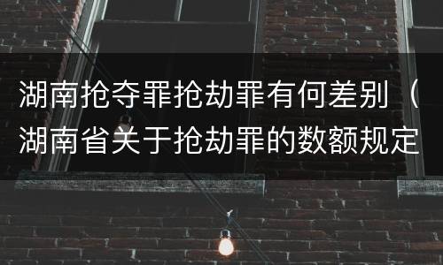 湖南抢夺罪抢劫罪有何差别（湖南省关于抢劫罪的数额规定）