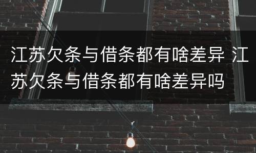 江苏欠条与借条都有啥差异 江苏欠条与借条都有啥差异吗