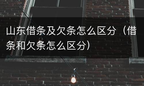 山东借条及欠条怎么区分（借条和欠条怎么区分）