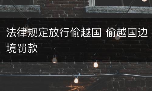 法律规定放行偷越国 偷越国边境罚款