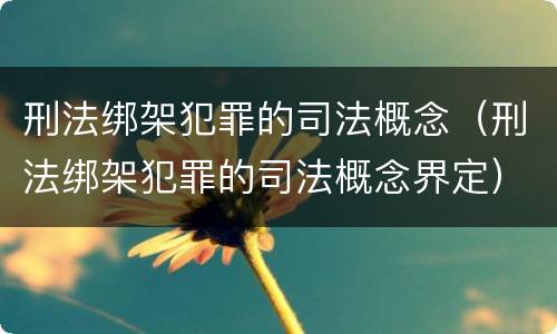 刑法绑架犯罪的司法概念（刑法绑架犯罪的司法概念界定）