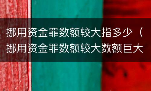 挪用资金罪数额较大指多少（挪用资金罪数额较大数额巨大）