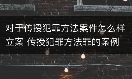 对于传授犯罪方法案件怎么样立案 传授犯罪方法罪的案例