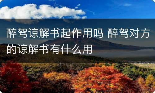 醉驾谅解书起作用吗 醉驾对方的谅解书有什么用
