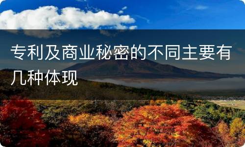 专利及商业秘密的不同主要有几种体现