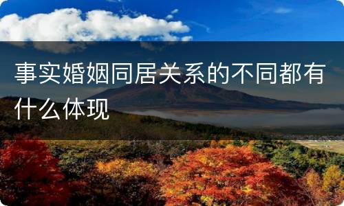 事实婚姻同居关系的不同都有什么体现