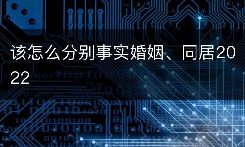 该怎么分别事实婚姻、同居2022