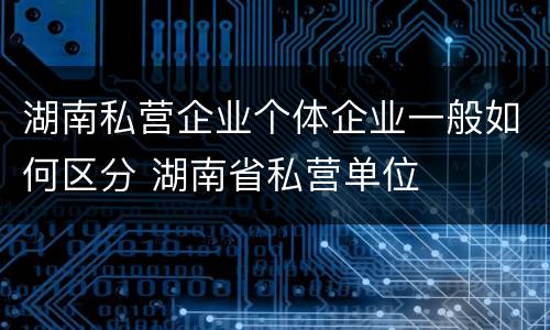 湖南私营企业个体企业一般如何区分 湖南省私营单位