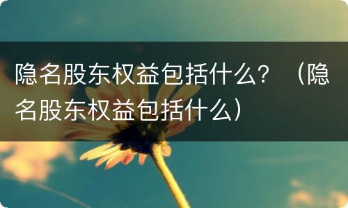 隐名股东权益包括什么？（隐名股东权益包括什么）