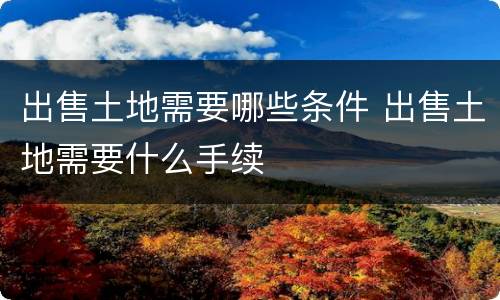 出售土地需要哪些条件 出售土地需要什么手续