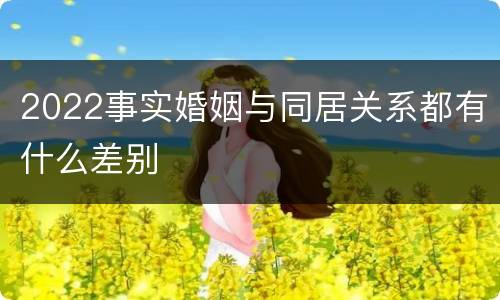 2022事实婚姻与同居关系都有什么差别