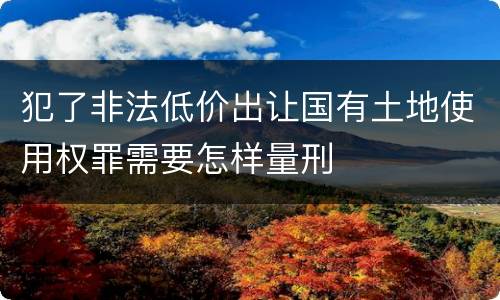 犯了非法低价出让国有土地使用权罪需要怎样量刑