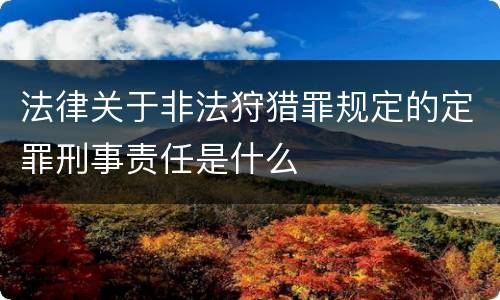 法律关于非法狩猎罪规定的定罪刑事责任是什么