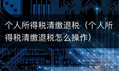 个人所得税清缴退税（个人所得税清缴退税怎么操作）
