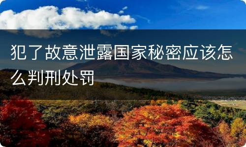 犯了故意泄露国家秘密应该怎么判刑处罚