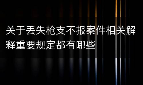 关于丢失枪支不报案件相关解释重要规定都有哪些