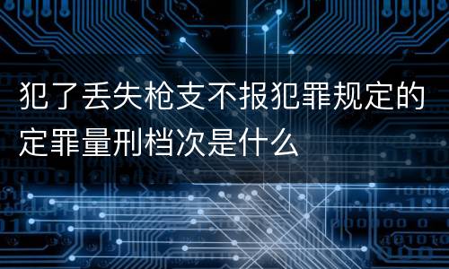 犯了丢失枪支不报犯罪规定的定罪量刑档次是什么