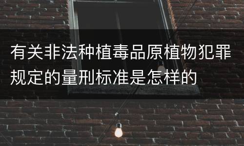 有关非法种植毒品原植物犯罪规定的量刑标准是怎样的
