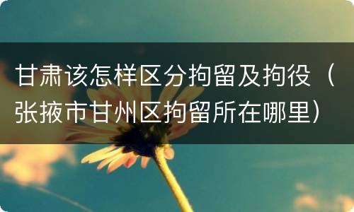 甘肃该怎样区分拘留及拘役（张掖市甘州区拘留所在哪里）