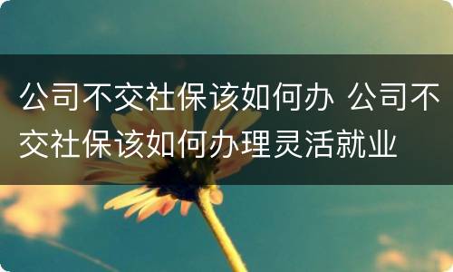 公司不交社保该如何办 公司不交社保该如何办理灵活就业