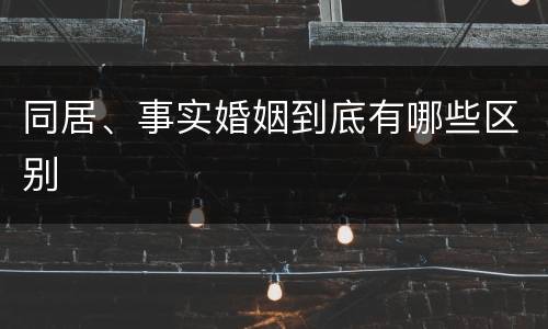同居、事实婚姻到底有哪些区别