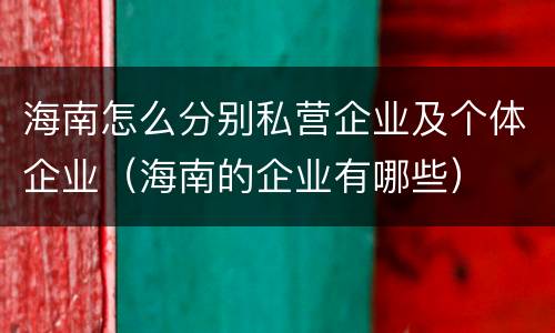 海南怎么分别私营企业及个体企业（海南的企业有哪些）
