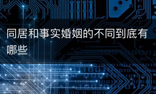 同居和事实婚姻的不同到底有哪些