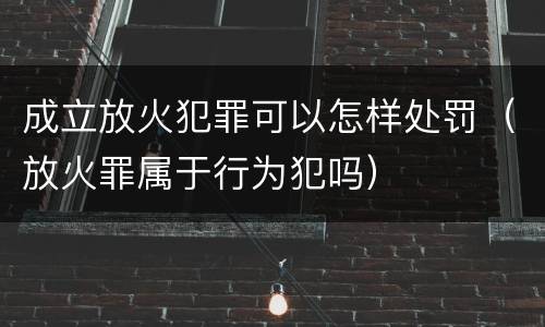 成立放火犯罪可以怎样处罚（放火罪属于行为犯吗）