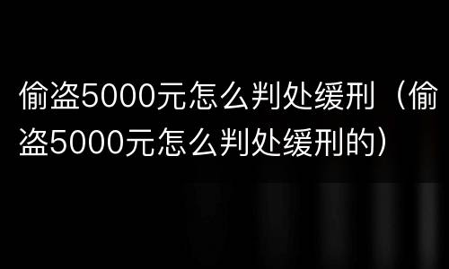 偷盗5000元怎么判处缓刑（偷盗5000元怎么判处缓刑的）