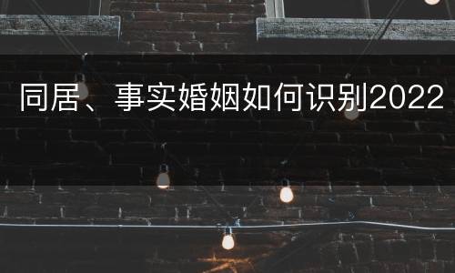 同居、事实婚姻如何识别2022