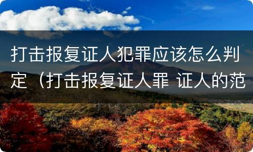 打击报复证人犯罪应该怎么判定（打击报复证人罪 证人的范围）