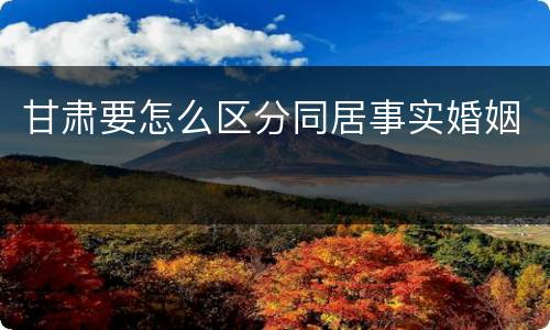 甘肃要怎么区分同居事实婚姻