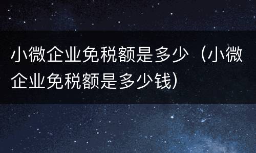 小微企业免税额是多少（小微企业免税额是多少钱）