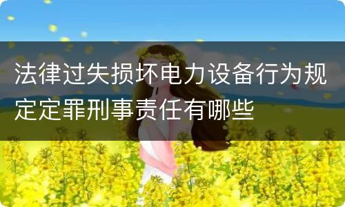 法律过失损坏电力设备行为规定定罪刑事责任有哪些