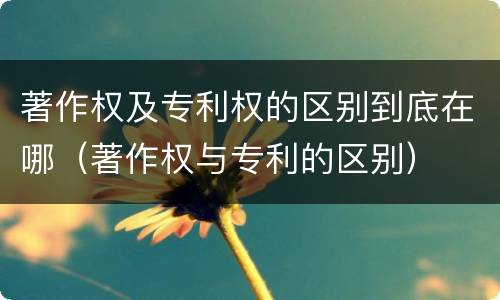 著作权及专利权的区别到底在哪（著作权与专利的区别）