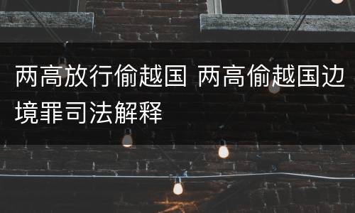 两高放行偷越国 两高偷越国边境罪司法解释