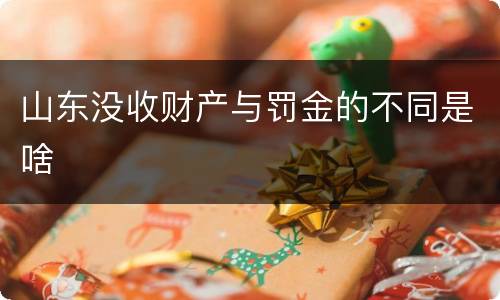山东没收财产与罚金的不同是啥