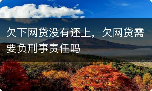 欠下网贷没有还上，欠网贷需要负刑事责任吗