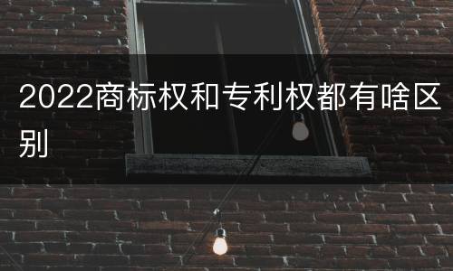 2022商标权和专利权都有啥区别