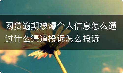 网贷逾期被爆个人信息怎么通过什么渠道投诉怎么投诉