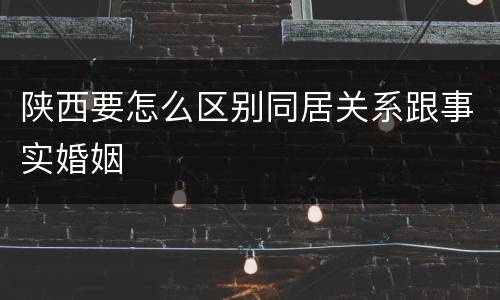 陕西要怎么区别同居关系跟事实婚姻