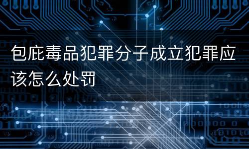 包庇毒品犯罪分子成立犯罪应该怎么处罚