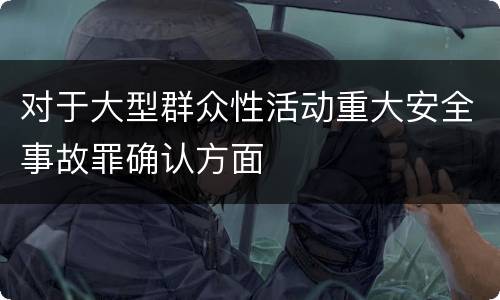 对于大型群众性活动重大安全事故罪确认方面