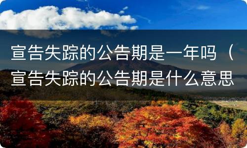 宣告失踪的公告期是一年吗（宣告失踪的公告期是什么意思）