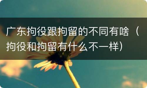 广东拘役跟拘留的不同有啥（拘役和拘留有什么不一样）